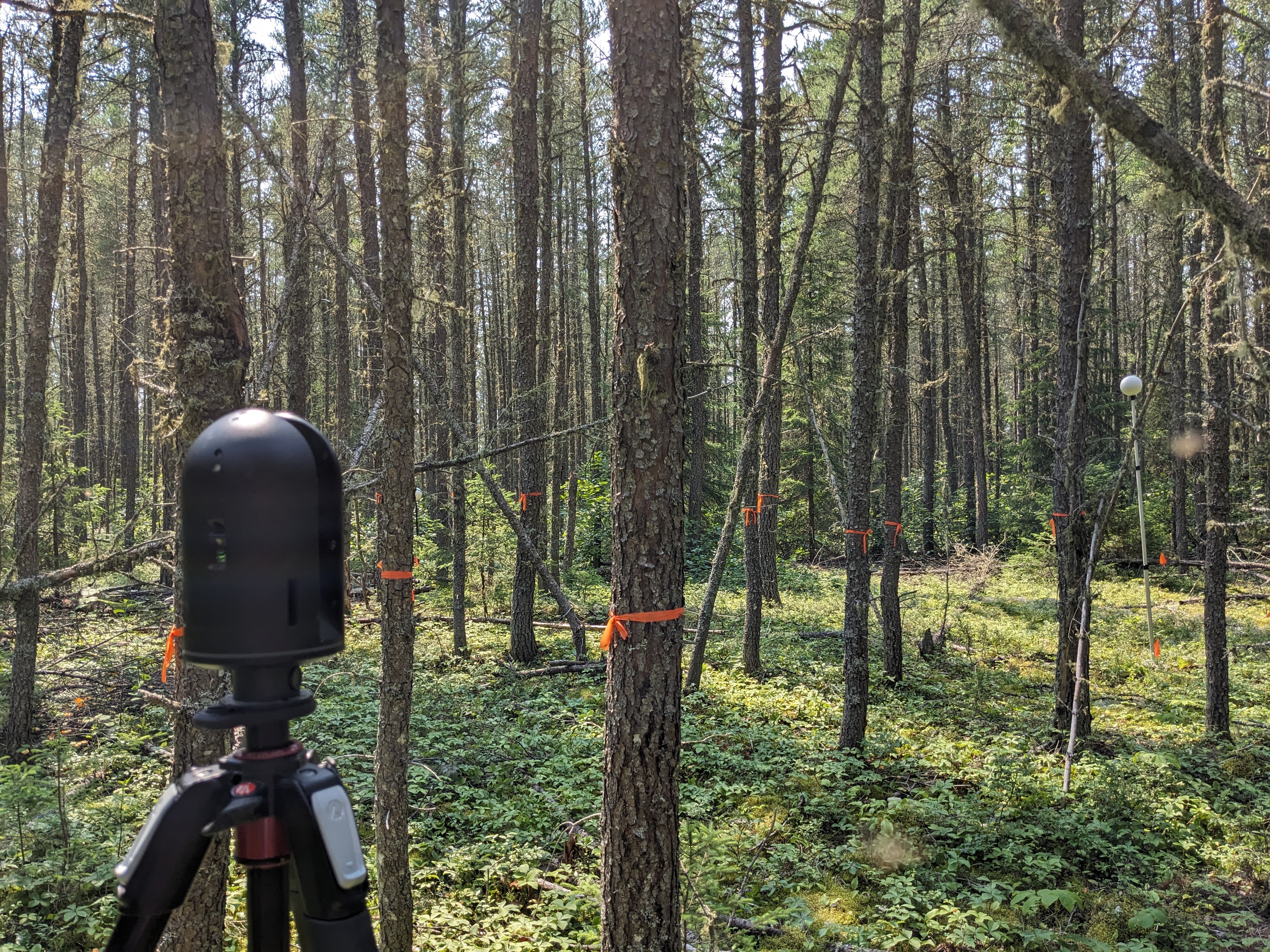 A BLK TLS scanner in a jack pine forest in NorthWestern Ontario